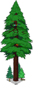 World's Largest Redwood.png