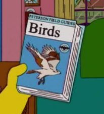 Peterson Field Guides to Birds.png
