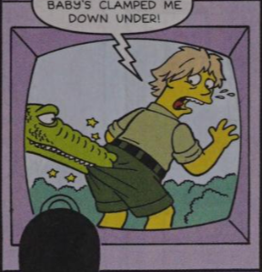 Steve Irwin