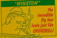 Winston