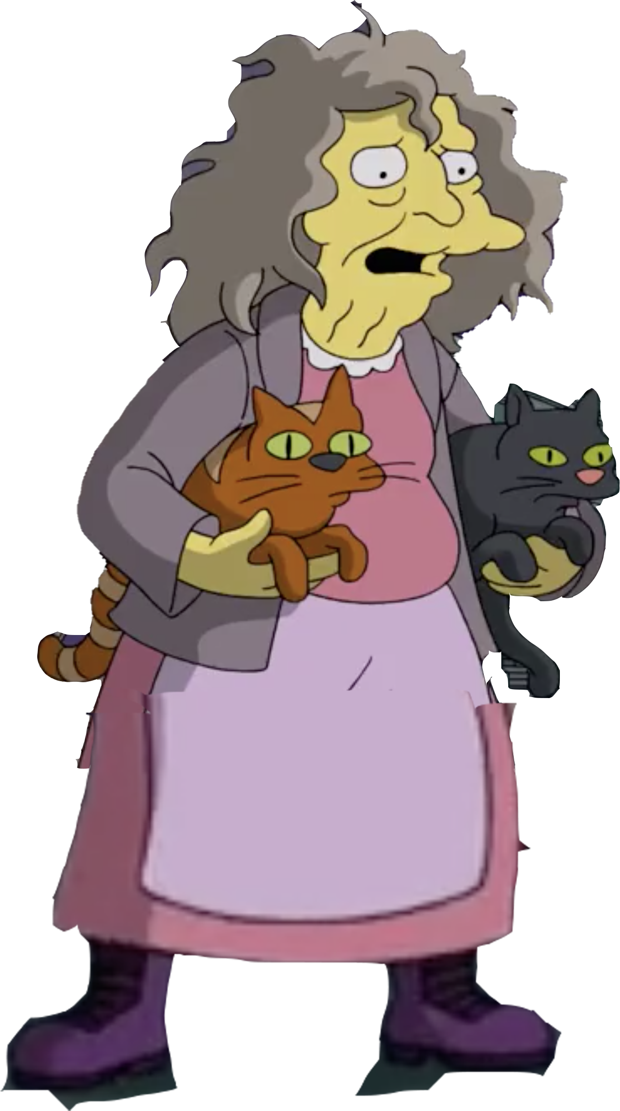crazy-cat-lady-simpsons-meme