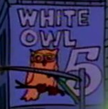 File:White Owl 5.png