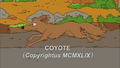 Coyote.png