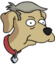 Skinner - Dog