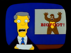 News reporter (The Call of the Simpsons).png