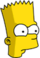 Bart - Curious