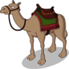 Camel.png