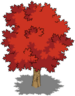 Maple Tree.png