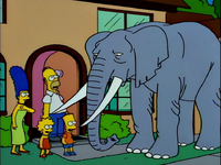 Stampy (Bart Gets an Elephant).png