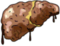 Tapped Out Ghost of Liver Future Icon.png
