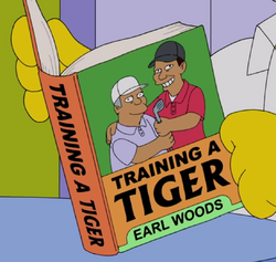 Training a Tiger.png