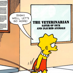The Veterinarian.png