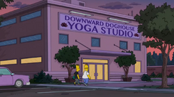 Downward Doghouse Yoga Studio 2.png