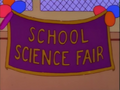 School Science Fair.png
