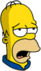 Patriotic Homer - Exhausted