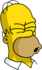 Homer - D'oh‎