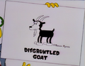 Disgruntled Goat drawing.png