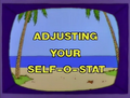 Adjusting Your Self-O-Stat.png