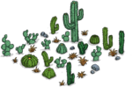 Cacti.png