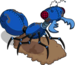 Mechanical Ant Alpha.png