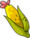 Tapped Out T.Corn.png