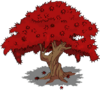 Japanese Maple Tree.png