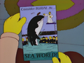 Sea World flyer.png