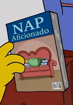 Nap Aficionado.png