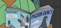 Pigeon Fancy.png