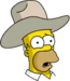 Cowboy Homer - Confused