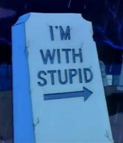 I'm with Stupid.png