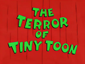 The Terror of Tiny Toon - Title Card.png