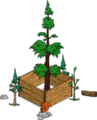 World's Largest Redwood Level 4.png