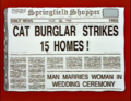 Shopper Cat Burglar Strikes 15 Homes.png