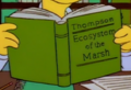 Ecosystem of the Marsh.png