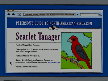 Peterson's-guide-to-north-american-birds.png