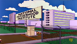 National Fatherhood Institute.png