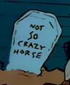 Not So Crazy Horse.png