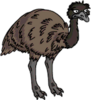 Emu.png