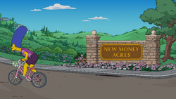 New Money Acres.png
