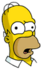 Homer - Blort
