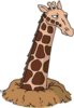 Giraffe.png