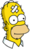 Homer - Cactus Bandage