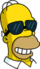 Homer - Sunglasses