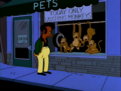 Laughing Monkeys.png