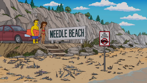 Needle Beach Wikisimpsons The Simpsons Wiki 1723