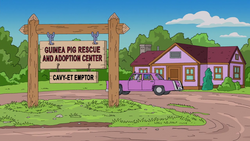 Guinea Pig Rescue Center .png