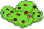 Tapped Out Rose Bush.png