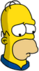 Patriotic Homer - Sad