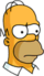 Future Homer - Serious